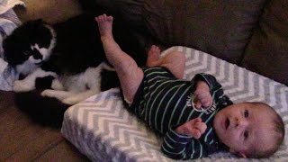 Cute Baby Brody Accidentally Kicks Our Cat But The Cat Gets An Electric Massage Apology [upl. by Nolana817]