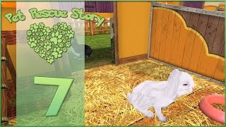 Pet Rescue Story  Lessons in Lonely Pets  Episode 7 [upl. by Akeem860]