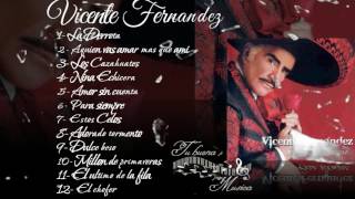 Vicente Fernandez Album para siempre [upl. by Esoryram]