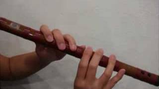 Basic introduction of the Dizi Chinese Bamboo Flute [upl. by Sadonia]