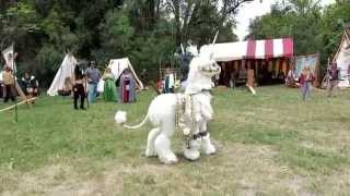 Unicorns at the Fantasy Fair [upl. by Yasui]