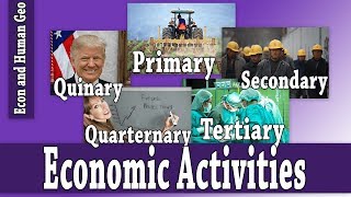 Economic Activities Primary Secondary Tertiary Quaternary Quinary AP Human Geography [upl. by Plantagenet]