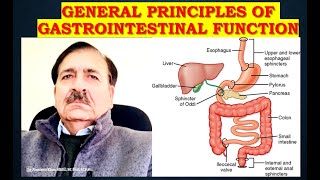 General Principles of Gastrointestinal Function  Lectures by Dr Alamzeb [upl. by Nyvlem203]