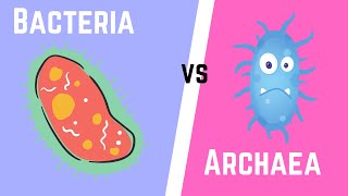 Difference between Bacteria and Archaea [upl. by Lavina]