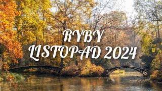 ♓RYBY ♓ listopad 2024  zmiany które wprowadzą spokój i stabilizację 🫶💫☺️🪬🪐🌕 [upl. by Robena611]