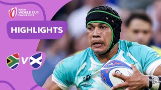 Springboks SUBLIME against Scots  South Africa v Scotland  Rugby World Cup 2023 Highlights [upl. by Monagan]