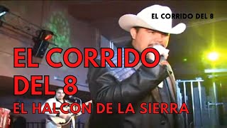 El Halcon De La Sierra  ElCorrido Del 8 EN VIVO [upl. by Gaile]