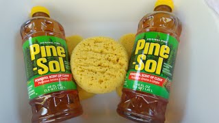 Pine Sol original formula [upl. by Annelise860]