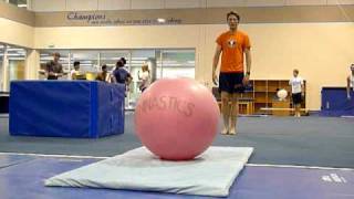 Exercise ball backflip [upl. by Kassie]