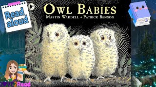 OWL BABIES 🦉🦉🦉 Read Aloud  Martin Waddell storyoftheweek [upl. by Ahsot705]