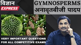 Important Questions on Gymnosperms  Vigyan Express 21  DR NS JAIN [upl. by Miharbi]