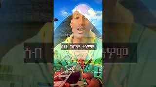 fasika fikadu ethiopian habesha guragigna duet ebs music food love [upl. by Ycat127]