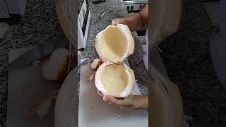 Asmr Peeling and Crocking coconut 🥥 asmr satisfying shortvedio [upl. by Atiugal]