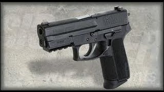 Sig Sauer SP2022 Review [upl. by Rolan]