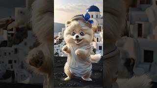 Adventurous Dogs Fun Journey Through Santorini Greece shorts santorini [upl. by Prentice941]