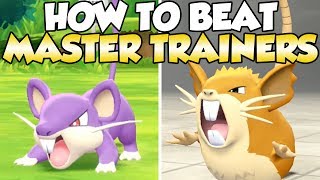 How To Beat Rattata amp Raticate Master Trainers Guide [upl. by Waterman]