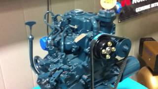 Kubota Z482 2 Cylinder Diesel Engine First Start [upl. by Donnamarie499]