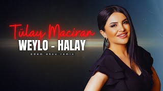 Tülay Maciran  Weylo Kürtçe Halay Remix  Türkü Trap Remix 2024 [upl. by Anelim]