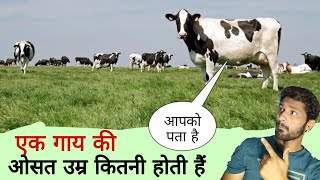 एक गाय की ओसत उम्र कितनी होती हैं आपको पता है 🐄 What is the Average age of a Cow facts no 2 [upl. by Nette]