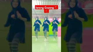 Jaran Goyang shortvideo [upl. by Florida]