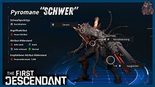 So besiegst du den Pyromanen auf quotSchwerquot  Kernmechaniken  The First Descendant Guide [upl. by Emmaline]