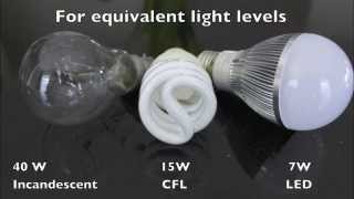 LED vs CFL vs Incandescent A19 Light Bulbs [upl. by Intruok273]