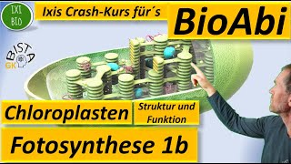 Fotosynthese 1b  Chloroplast funktionale Angepasstheiten  beschriftete Skizze  Bau und Funktion [upl. by Saks]