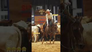 horse horselover horseriding ghoda trending trendingshorts trend viralvideo viralshort [upl. by Ag]