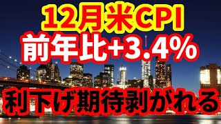 【米国経済】111米消費者物価指数解説！予想を上回り、ドル高、金利上昇！FRBの利下げ期待後退 [upl. by Neona426]