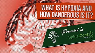 Hypoxia Definition Causes Symptoms and Treatment What is hypoxia and how dangerous is it [upl. by Zippora600]