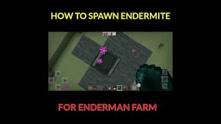 HOW TO SPAWN ENDERMITE FOR ENDERMAN FARM MINECRAFT [upl. by Ddet]