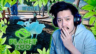 Planet Zoo Franchise Mode  Hasil Breeding Indian Peafowl Albino Habitat Red Panda Segera Hadir [upl. by Nadnarb]