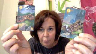 Vlog LenorMai Défi Lenormand Jour 10 Serpent amp Cercueil [upl. by Schumer]