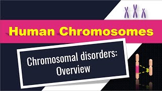 Chromosome and Chromosomal disorders [upl. by Leasim]