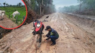 PEGAMOS MUITA CHUVA E ATOLAMOS NO NOSSO ATERRO FOI O JEITO RANCAR TUDO [upl. by Nosnarb]