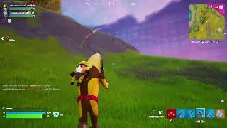 Fortnite Remix game day 1 [upl. by Eisse]