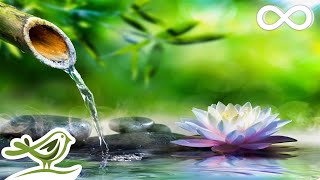 Soothing Relaxation Relaxing Piano Music amp Water Sounds for Sleep Meditation Spa amp Yoga [upl. by Schacker]