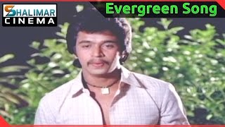 Evergreen Hit Song of the day  Rani Ranamma Video Song  shalimarcinema  Shlimarcinema [upl. by Gnihc]