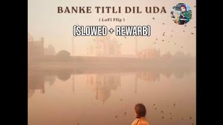 Banke tirli Dil uda lofi flip Slowed  rewarb sahu gaming yt [upl. by Ahsam]