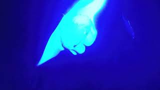 Manta Ray Night Swim Keauhou Bay Hawaii Sea Quest Adventures [upl. by Mabelle127]