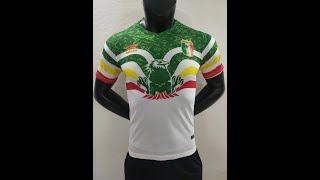 player version 2022 Mali away Africa Cup soccer jersey size S2XL [upl. by Miltie316]