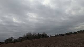 Watlington beaters day 2024 Kings wood part1 [upl. by Gosnell681]