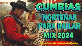 Puras Cumbias Norteñas ✨ Cumbias Norteñas Para Bailar💃🏽 Norteñas Mix 2024 [upl. by Gnem]