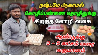 🐓 நோய் பாதிப்பு குறைவு முட்டை உற்பத்தி அதிகம் விரைவில் அதிக எடை லாபத்தை கொட்டி கொடுக்கும் கோழி🐣 [upl. by Yetta965]