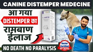 Canine Distemper Treatment At Home In Dogs  Symptoms  Recovery  Dog Distemper Treatment In Hindi [upl. by Wanonah]