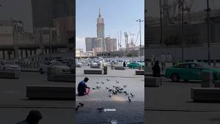 The 1 Thing You Never Knew About Makkahs Pigeon Square [upl. by Assela448]