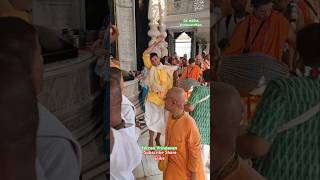 Iskcon Vrindavan darshan kirtan gurupuja iskcon vrindavan darshan kirtan shorts viral krishna [upl. by Budde]