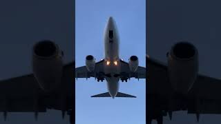 Close Up Overhead Landing at Airport  YYZ Plane Spotting [upl. by Hgielime]