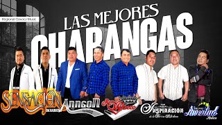 Las Mejores Charangas De Oaxaca Mega Mix 2023 [upl. by Nisen83]