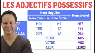 Les adjectifs possessifs en français 📋 [upl. by Ylimme]